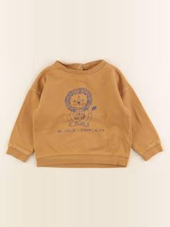Seconde main-Garçon-Sweat - 24 mois