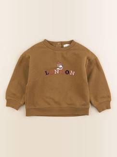 Seconde main-Garçon-Sweat - 24 mois