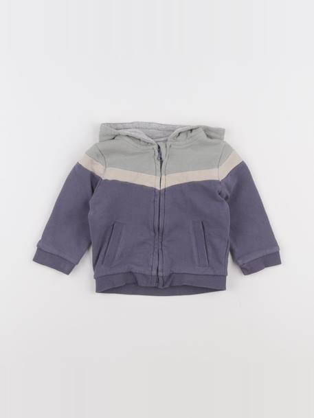 Sweat - 9 mois Bleu, gris 1 - vertbaudet enfant 