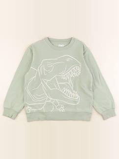 Seconde main-Garçon-Sweat - 10 ans