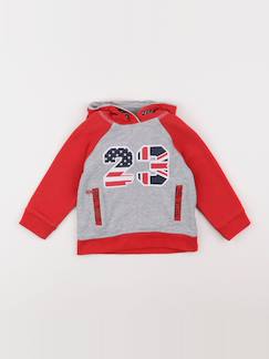 Seconde main-Garçon-Sweat - 2 ans