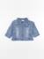 Veste - 12 mois Bleu 1 - vertbaudet enfant 