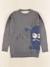 Pull - 10 ans Gris 1 - vertbaudet enfant 