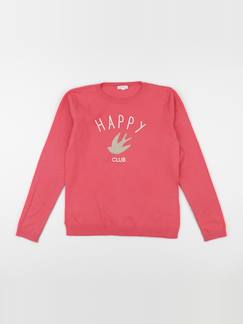 Seconde main-Fille-Pull - 12 ans