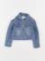 Veste - 4 ans Bleu 1 - vertbaudet enfant 
