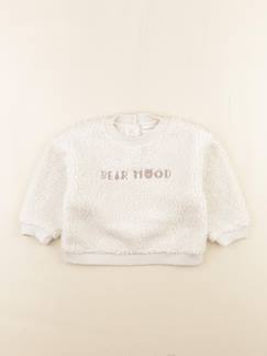 Seconde main-Garçon-Pull - 24 mois