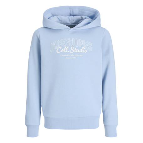 Sweat à capuche makoto Bleu ciel+Bleu gris+Écru+Marine+Noir 3 - vertbaudet enfant 