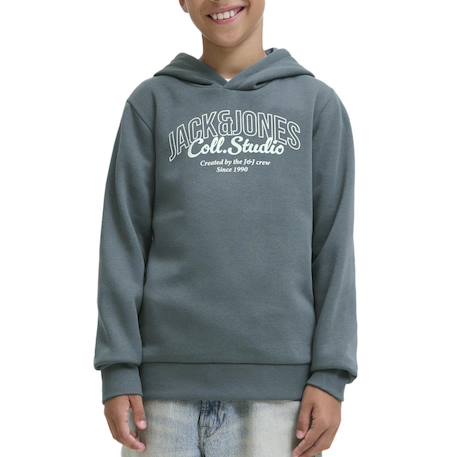 Garçon-Pull, gilet, sweat-Sweat à capuche makoto