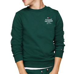 -Sweat garçon logo puff