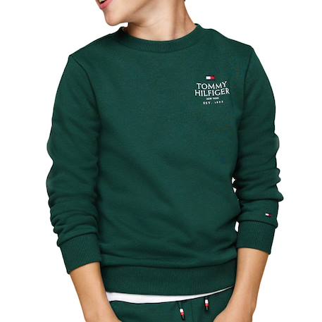Sweat garçon logo puff Vert 1 - vertbaudet enfant 