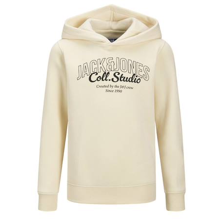 Sweat à capuche makoto Bleu ciel+Bleu gris+Écru+Marine+Noir 8 - vertbaudet enfant 