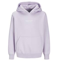 -Sweat à capuche vesterbro