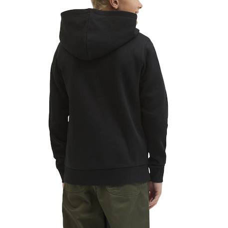 Sweat à capuche makoto Bleu ciel+Bleu gris+Écru+Marine+Noir 12 - vertbaudet enfant 