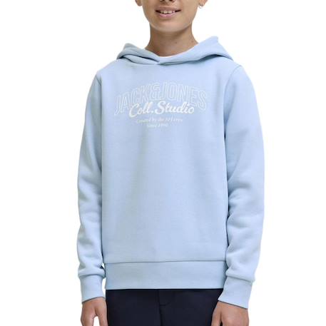 Garçon-Pull, gilet, sweat-Sweat à capuche makoto