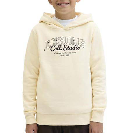 Garçon-Pull, gilet, sweat-Sweat à capuche makoto