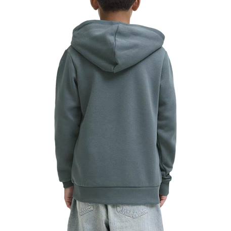 Sweat à capuche makoto Bleu ciel+Bleu gris+Écru+Marine+Noir 5 - vertbaudet enfant 