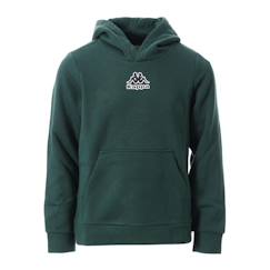 -Sweat à capuche garçon danolo
