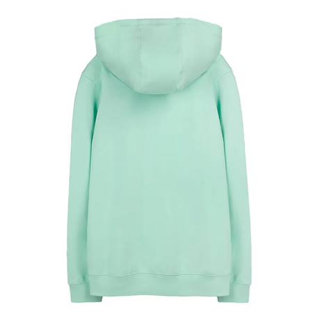 Sweat à capuche garçon evry Vert 2 - vertbaudet enfant 
