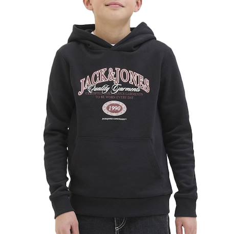 Garçon-Pull, gilet, sweat-Sweat garçon à capuche ari