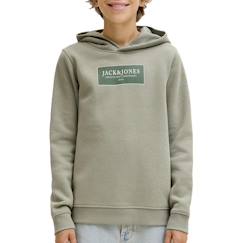 -Sweat à capuche greene