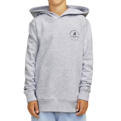 -Sweat à capuche swift