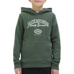 -Sweat garçon à capuche ari