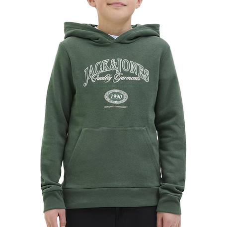 Sweat garçon à capuche ari Bleu+Noir+Vert 6 - vertbaudet enfant 