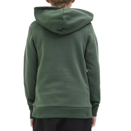 Sweat garçon à capuche ari Bleu+Noir+Vert 7 - vertbaudet enfant 
