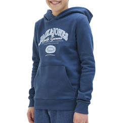-Sweat garçon à capuche ari