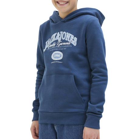 Sweat garçon à capuche ari Bleu+Noir+Vert 1 - vertbaudet enfant 