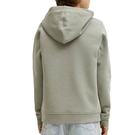 Sweat à capuche greene Beige+Noir 2 - vertbaudet enfant 