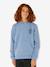 Sweat à capuche garçon bleu grisé 1 - vertbaudet enfant 