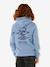 Sweat à capuche garçon bleu grisé 3 - vertbaudet enfant 