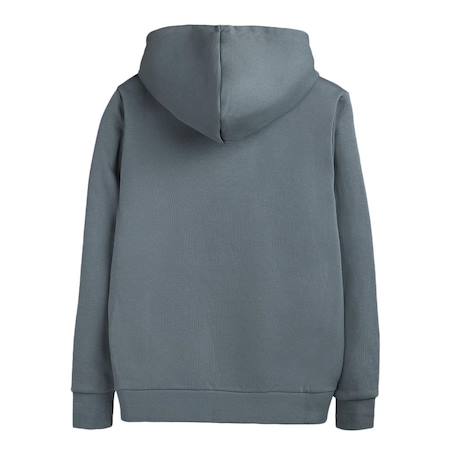 Sweat garçon s-nark hoody jr Gris 2 - vertbaudet enfant 