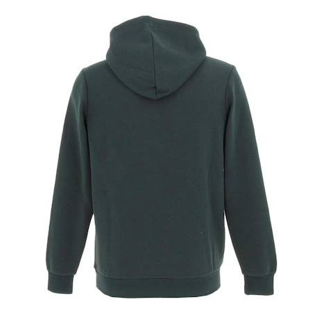 Sweat garçon à capuche snark hoody jr Vert 2 - vertbaudet enfant 