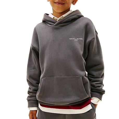 Garçon-Pull, gilet, sweat-Sweat garçon à capuches