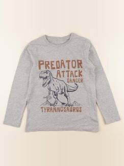Seconde main-Garçon-Tee-shirt - 10 ans