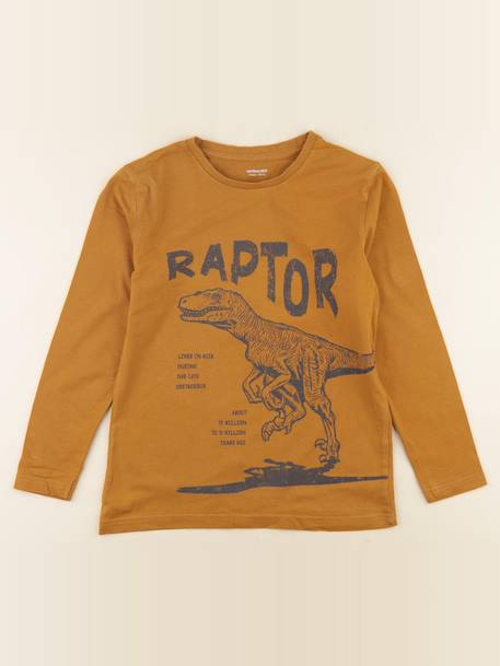 Tee-shirt - 10 ans Marron 1 - vertbaudet enfant 