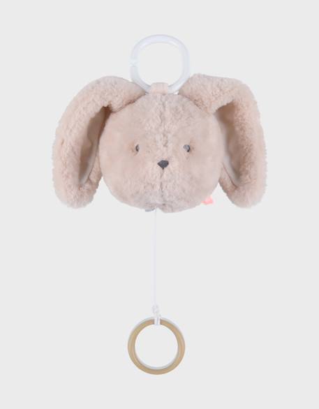 Peluche tête mini-musicale 20cm - rosie Rose 1 - vertbaudet enfant 