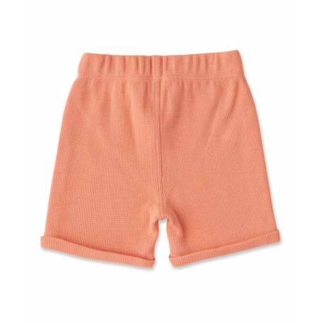 Ensemble short + haut 100% coton bébé garçon Grege 5 - vertbaudet enfant 