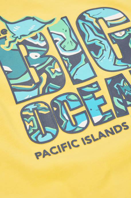 T-shirt en coton pour garçon Jaune 4 - vertbaudet enfant 