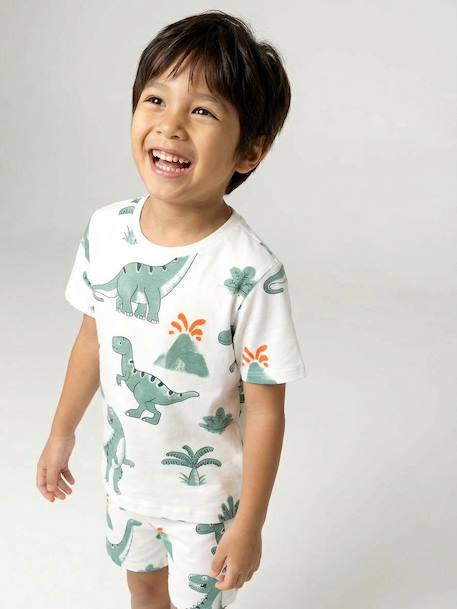 Lot 2 pyjashort garçon dinosaure vert sauge 14 - vertbaudet enfant 