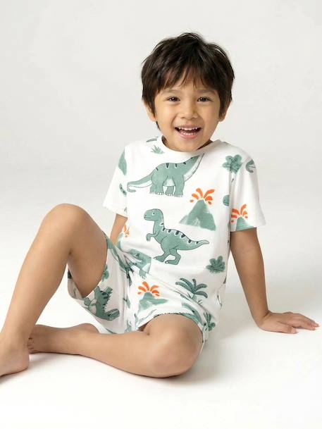 Lot 2 pyjashort garçon dinosaure vert sauge 3 - vertbaudet enfant 