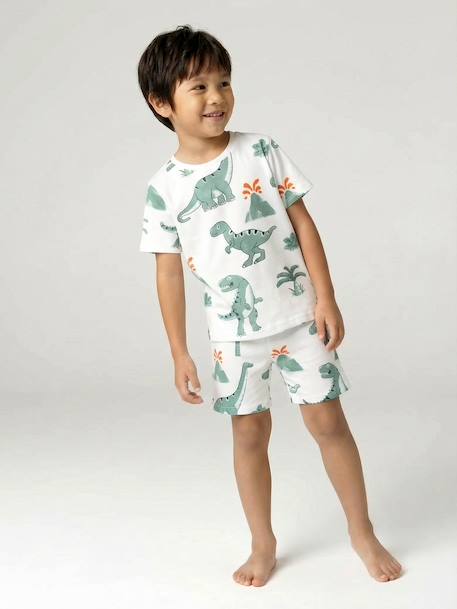 Lot 2 pyjashort garçon dinosaure vert sauge 2 - vertbaudet enfant 
