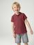 Polo garçon manches courtes broderie poitrine blanc+bleu+jaune pâle+kaki clair+MARINE+terracotta 18 - vertbaudet enfant 