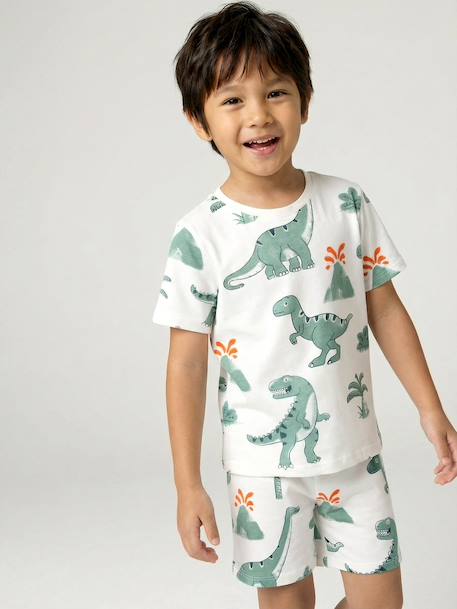 Lot 2 pyjashort garçon dinosaure vert sauge 13 - vertbaudet enfant 