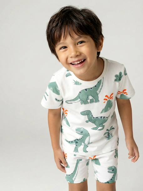 Lot 2 pyjashort garçon dinosaure vert sauge 12 - vertbaudet enfant 