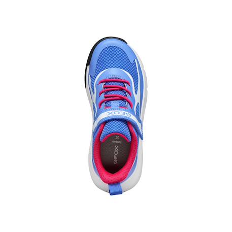Baskets basses  à scratch Bleu   blanc 6 - vertbaudet enfant 