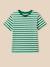 T-shirt rayé garçon - coton biologique Rayure bico bleu+Rayure bico verte 5 - vertbaudet enfant 