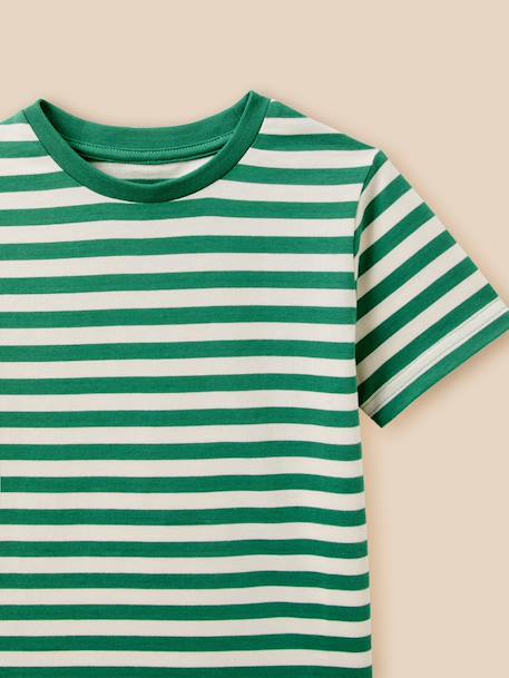 T-shirt rayé garçon - coton biologique Rayure bico bleu+Rayure bico verte 6 - vertbaudet enfant 